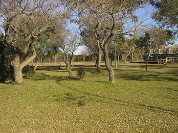 ZONA DE CAMPING (Predio CCT CONICET Santa Fe)