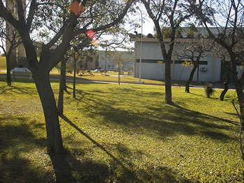ZONA DE CAMPING (Predio CCT CONICET Santa Fe)