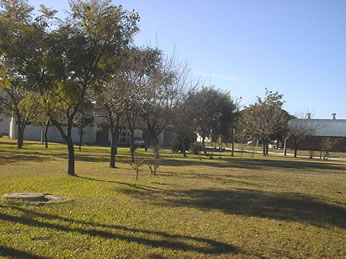 ZONA DE CAMPING (Predio CCT CONICET Santa Fe)